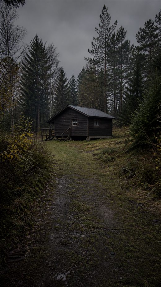 Abgelegene Hütte im Wald als Schauplatz eines Falls